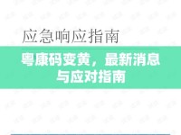 粵康碼變黃，最新消息與應(yīng)對(duì)指南