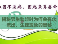 揭秘男生勃起時為何會有水流出，生理現(xiàn)象的奧秘