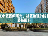 湛江小區(qū)視頻曝光，社區(qū)治理的隱秘角落被揭開(kāi)
