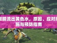 眼睛流出黃色水，原因、應對措施與預防指南