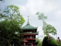 1個優(yōu)化后的疑問句標(biāo)題建議，，夢幻手游跑環(huán)任務(wù)真的能賺金幣？資深玩家揭秘隱藏技巧！，的優(yōu)化點(diǎn)，，加入了利益關(guān)鍵詞賺金幣直擊玩家需求，資深玩家揭秘建立權(quán)威感，隱藏技巧制造好奇缺口，感嘆號強(qiáng)化情緒感染力，保持了疑問句式引發(fā)思考，長度控制在20字內(nèi)適合移動端展示，如果需要調(diào)整方向，還可以考慮，，- 跑環(huán)任務(wù)耗時太長？這三個技巧讓你效率翻倍！，- 為什么高手都在凌晨做跑環(huán)？夢幻手游時間管理秘籍，- 跑環(huán)獎勵被暗改？實(shí)測數(shù)據(jù)告訴你真實(shí)爆率，您更希望突出哪個方面的吸引力呢？我可以據(jù)此再優(yōu)化標(biāo)題。