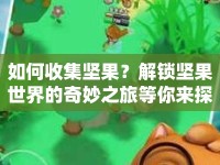 如何收集堅果？解鎖堅果世界的奇妙之旅等你來探索！