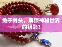 兔子骨頭，解鎖神秘世界的鑰匙？