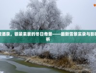 甘肅酒泉，銀裝素裹的冬日奇景——最新雪景實(shí)錄與影響分析