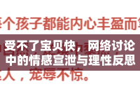 受不了寶貝快，網(wǎng)絡(luò)討論中的情感宣泄與理性反思