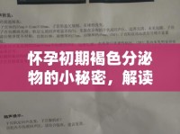 懷孕初期褐色分泌物的小秘密，解讀與應對