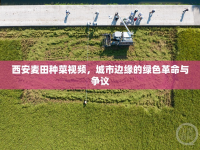 西安麥田種菜視頻，城市邊緣的綠色革命與爭議