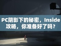 PC陰影下的秘密，Inside攻略，你準(zhǔn)備好了嗎？
