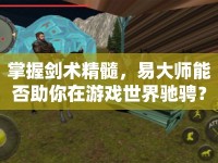 掌握劍術(shù)精髓，易大師能否助你在游戲世界馳騁？