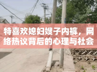 特喜歡媳婦嫂子內(nèi)褲，網(wǎng)絡(luò)熱議背后的心理與社會現(xiàn)象