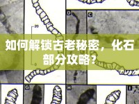 如何解鎖古老秘密，化石部分攻略？