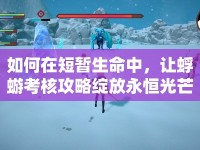 如何在短暫生命中，讓蜉蝣考核攻略綻放永恒光芒？