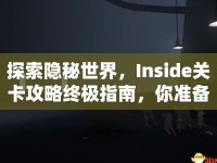 探索隱秘世界，Inside關(guān)卡攻略終極指南，你準(zhǔn)備好了嗎？