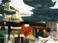 神武手游中，如何打造你的專屬極品寶寶？