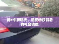 冀X車牌曝光，透視特權背后的社會鏡像