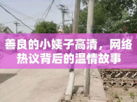 善良的小姨子高清，網(wǎng)絡(luò)熱議背后的溫情故事