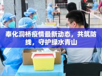 奉化洞橋疫情最新動態(tài)，共筑防線，守護綠水青山