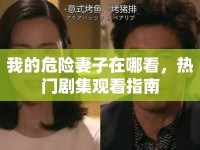 我的危險(xiǎn)妻子在哪看，熱門劇集觀看指南