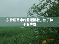 東北細(xì)雨中的溫暖播撒，快樂種子的聲音