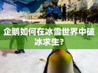 企鵝如何在冰雪世界中破冰求生？