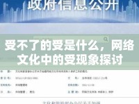 受不了的受是什么，網(wǎng)絡(luò)文化中的受現(xiàn)象探討