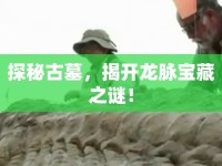 探秘古墓，揭開龍脈寶藏之謎！