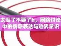 太深了不要了h，網(wǎng)絡(luò)討論中的情感表達(dá)與邊界意識