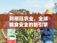 阿根廷農(nóng)業(yè)，全球糧食安全的新引擎與挑戰(zhàn)