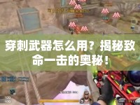 穿刺武器怎么用？揭秘致命一擊的奧秘！