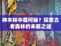 神木林中藏何秘？探索古老森林的未解之謎