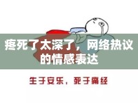 疼死了太深了，網(wǎng)絡(luò)熱議的情感表達(dá)