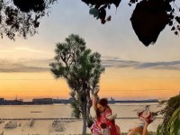 甲魚武器為何成為倩女幽魂手游中的戰(zhàn)力天花板？