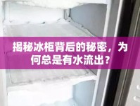 揭秘冰柜背后的秘密，為何總是有水流出？