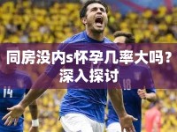同房沒內(nèi)s懷孕幾率大嗎？深入探討