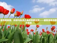 藍(lán)色郁金香，科技與自然之美的完美綻放——最新消息與圖片賞析