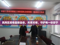 鳳翔區(qū)疫情最新動態(tài)，共克時艱，守護每一份安寧