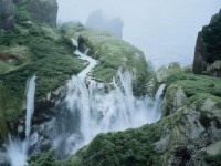 黑騎士為何能成為CF手游中的戰(zhàn)場死神？