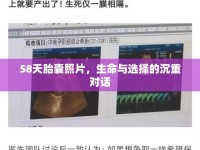 58天胎囊照片，生命與選擇的沉重對話