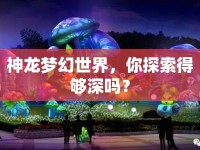 神龍夢(mèng)幻世界，你探索得夠深嗎？