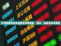 天齊鋰業(yè)資金流進(jìn)流出深度剖析，現(xiàn)狀、挑戰(zhàn)與未來展望