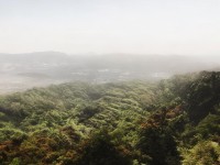 羞羞漫漫畫，藝術(shù)、文化與娛樂的完美融合，你了解多少？
