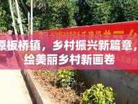 太原板橋鎮(zhèn)，鄉(xiāng)村振興新篇章，共繪美麗鄉(xiāng)村新畫卷
