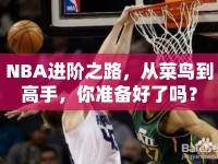 NBA進(jìn)階之路，從菜鳥到高手，你準(zhǔn)備好了嗎？