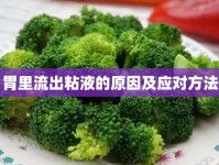 胃里流出粘液的原因及應(yīng)對(duì)方法