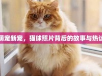 萌寵新寵，貓球照片背后的故事與熱議