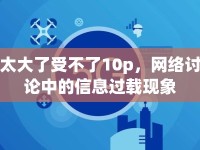 太大了受不了10p，網(wǎng)絡(luò)討論中的信息過(guò)載現(xiàn)象