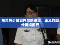 東莞黃少峰案件最新進(jìn)展，正義的腳步持續(xù)前行