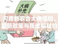 河南新農(nóng)合大病保險(xiǎn)，最新政策與民生福祉的深度融合