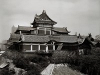 仙境RO手游武僧如何掌握戰(zhàn)斗藝術(shù)，成就武學(xué)巔峰？