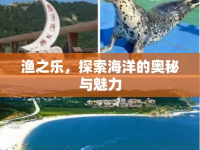 漁之樂，探索海洋的奧秘與魅力
